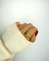 Anillo A02